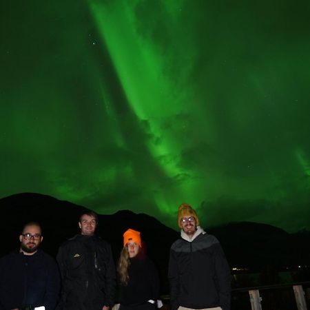 极光民宿northern Lights Laksvatn Εξωτερικό φωτογραφία